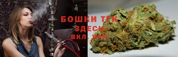 молекула духа Алексин