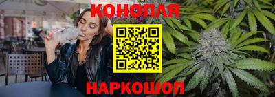 прущие грибы Гудермес