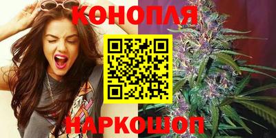 прущие грибы Гудермес