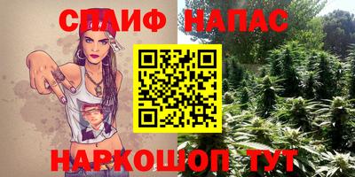 прущие грибы Гудермес